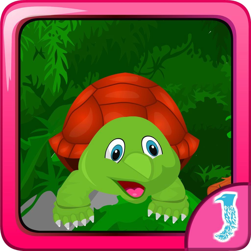 Tortoise Box Escape app icon