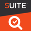 Audit icon
