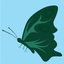Butterfly Surge icon