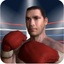 Punch Boxing Champions 2017 icon