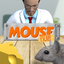 Mouse Escape - 3D Labyrinth Maze icon