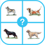 Dog Breed Quiz : Guess The Dog Trivia Pup Games icon