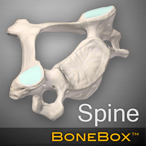 BoneBox - Spine Viewer app icon