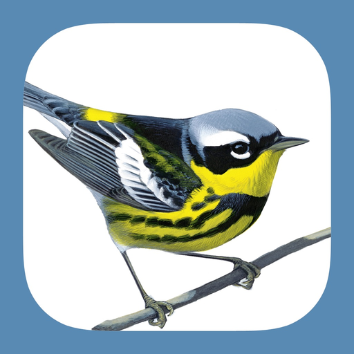 Sibley Birds 2nd Edition app icon