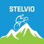 Stelvio icon