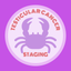 Testicular Cancer Staging icon