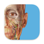 3D Human Anatomy Atlas 2026 icon