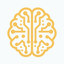 Brainquire icon