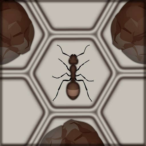 Catch The Ant app icon
