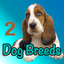 Dog Breeds of the World icon