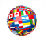 What's the flag?! icon