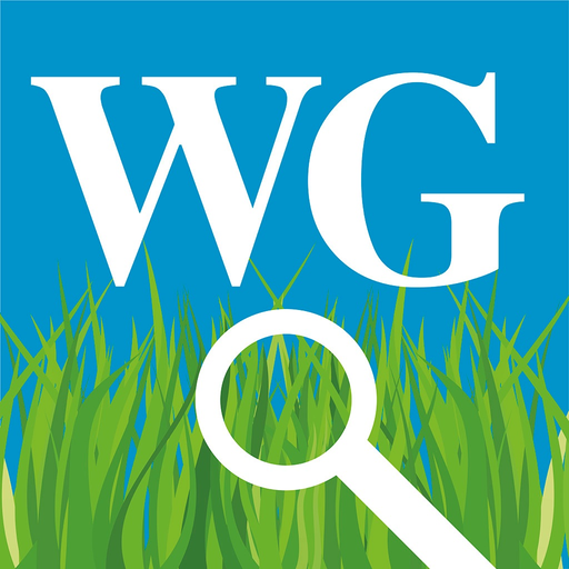 Wiesengräser leicht erkennen app icon