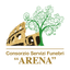 C.S.F. Arena icon