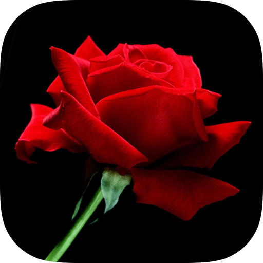 Fairytale Mosaics. Beauty and the Beast 2 app icon