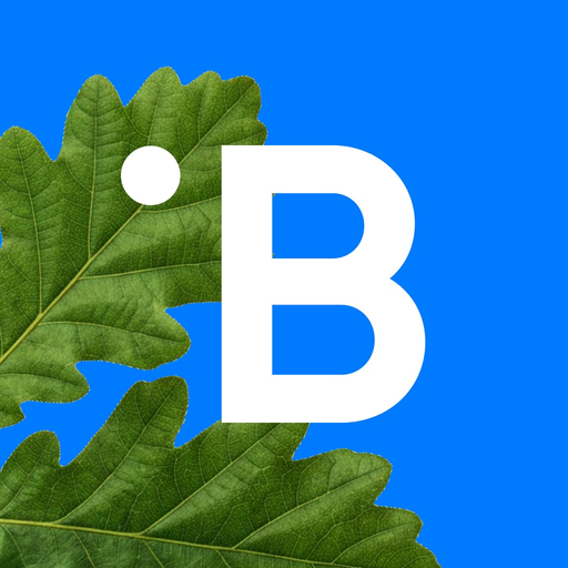 BluOr Bank app icon