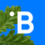 BluOr Bank icon