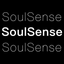 SS-SoulSense品质生活潮流品牌 icon