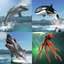 Sea Battle MMO Multiplayer icon