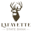 LSB On The Go icon