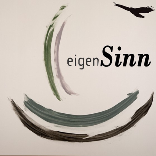 Nachtfalke - eigenSinn app icon