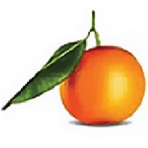 Orange County Brokerage app icon