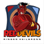 RED DEVILS Heilbronn icon