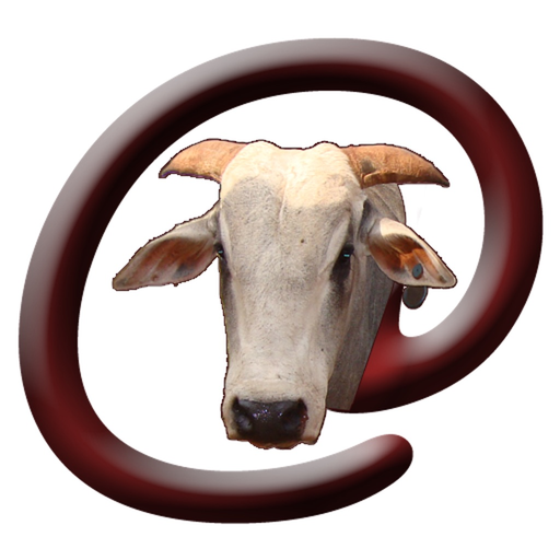Arrobas Online app icon