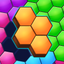 Blocks Puzzle - Hexagon Game icon