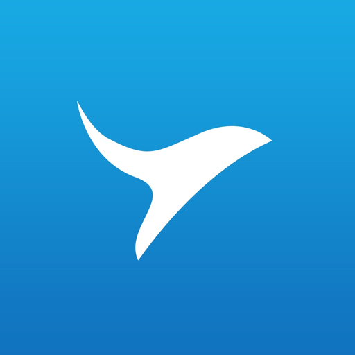 AviationInSky app icon
