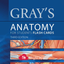 Gray's Anatomy Audio Hot Spots icon