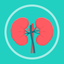 Pocket GFR Calculator icon