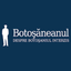 Botosaneanul icon