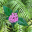 Raining Garden icon