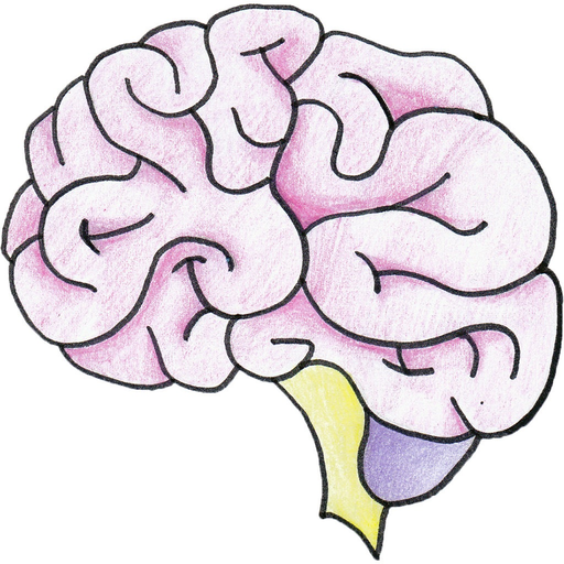 Brain Focus app icon