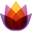 Plumsun icon
