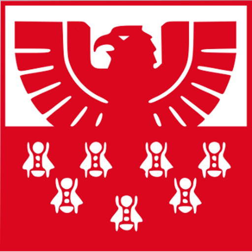 ISI-business Sparkasse app icon