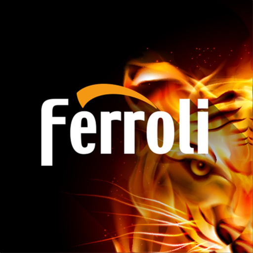 Ferroli Servis app icon
