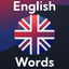 Learn Words: Practice English icon