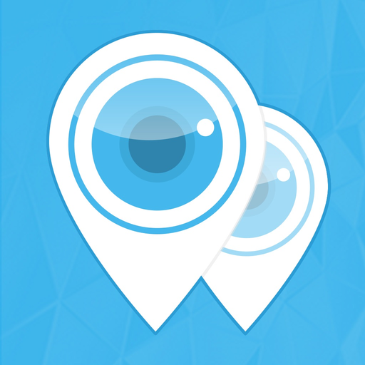 W Box VMS1 app icon
