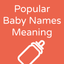 Popular Baby Names Meaning icon