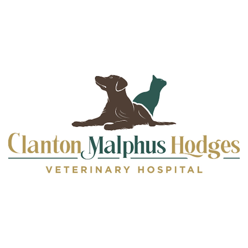 CMH Vet app icon