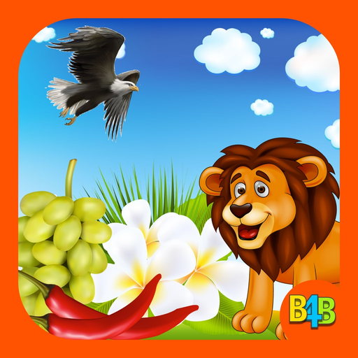 All in One Learning Flashcards app icon