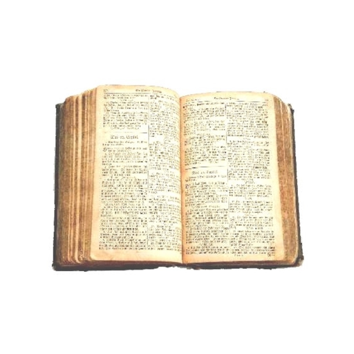 Buchfreund app icon