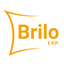BRILO ERP icon