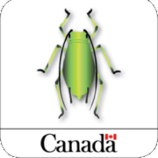 Cereal Aphid Manager app icon