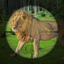 BD vs GM Sniper Shooting Game 2017 icon