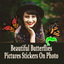 Beautiful Butterflies Pictures Stickers On Photo icon