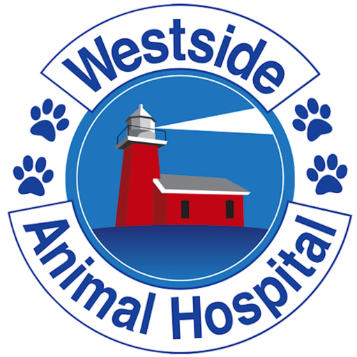 Vet Station app icon