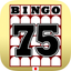 BingoCard byNSDev icon