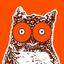 Hooters - Ordering and Rewards icon